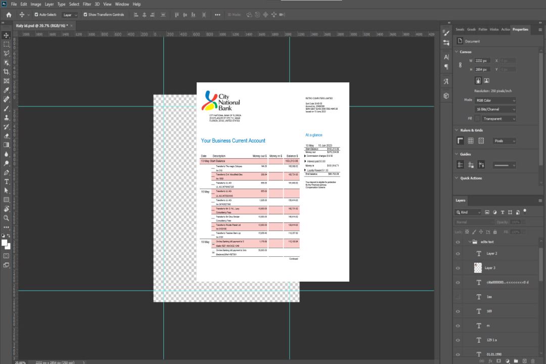 Modèle Word et PDF de relevé de compte ferme de la City National Bank of Florida template